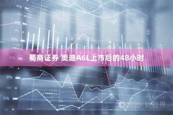 蜀商证券 奥迪A6L上市后的48小时