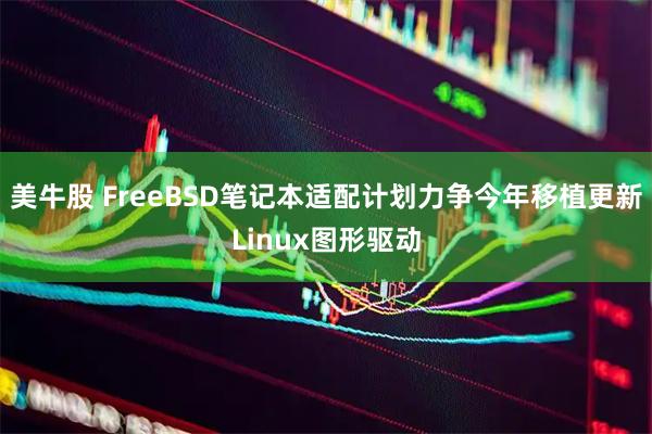 美牛股 FreeBSD笔记本适配计划力争今年移植更新Linux图形驱动