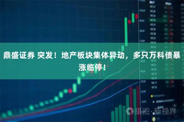 鼎盛证券 突发！地产板块集体异动，多只万科债暴涨临停！